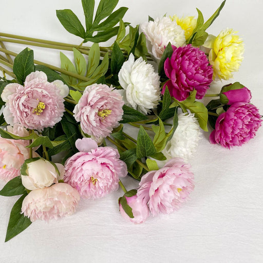 27.5 Inch Peony Silk Flower Stem 10 Pcs Artificial Faux Floral Arrangements Bulk