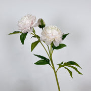 27.5 Inch Peony Silk Flower Stem 10 Pcs Artificial Faux Floral Arrangements Bulk