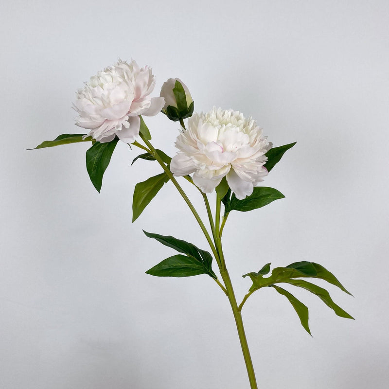 27.5 Inch Peony Silk Flower Stem 10 Pcs Artificial Faux Floral Arrangements Bulk