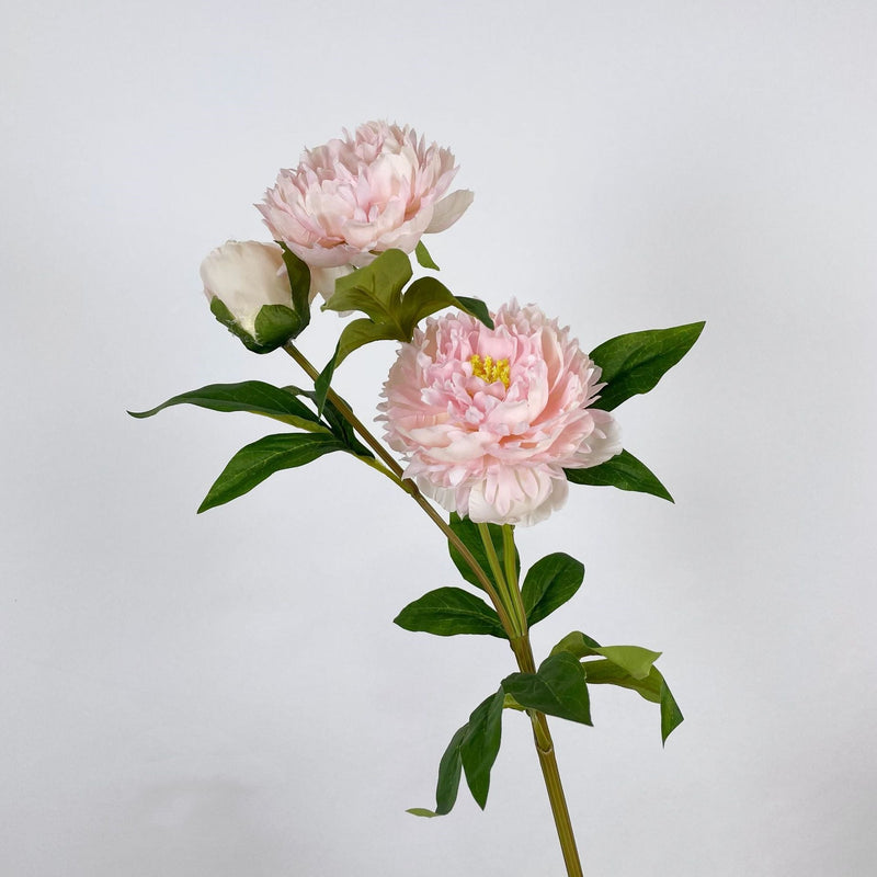 27.5 Inch Peony Silk Flower Stem 10 Pcs Artificial Faux Floral Arrangements Bulk