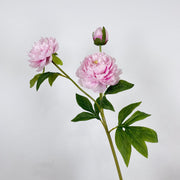 27.5 Inch Peony Silk Flower Stem 10 Pcs Artificial Faux Floral Arrangements Bulk