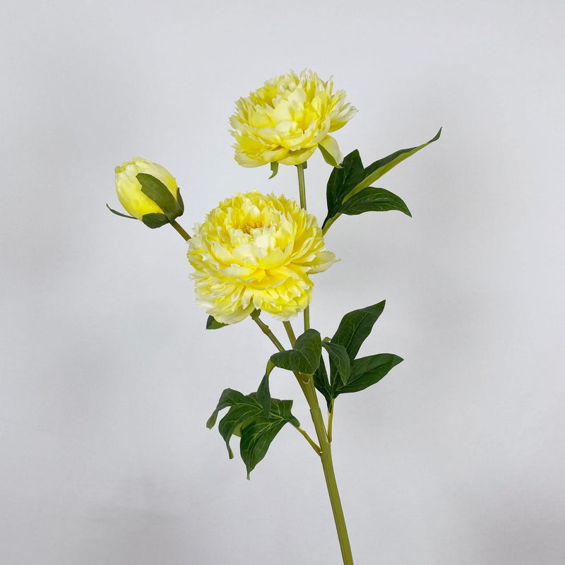 27.5 Inch Peony Silk Flower Stem 10 Pcs Artificial Faux Floral Arrangements Bulk