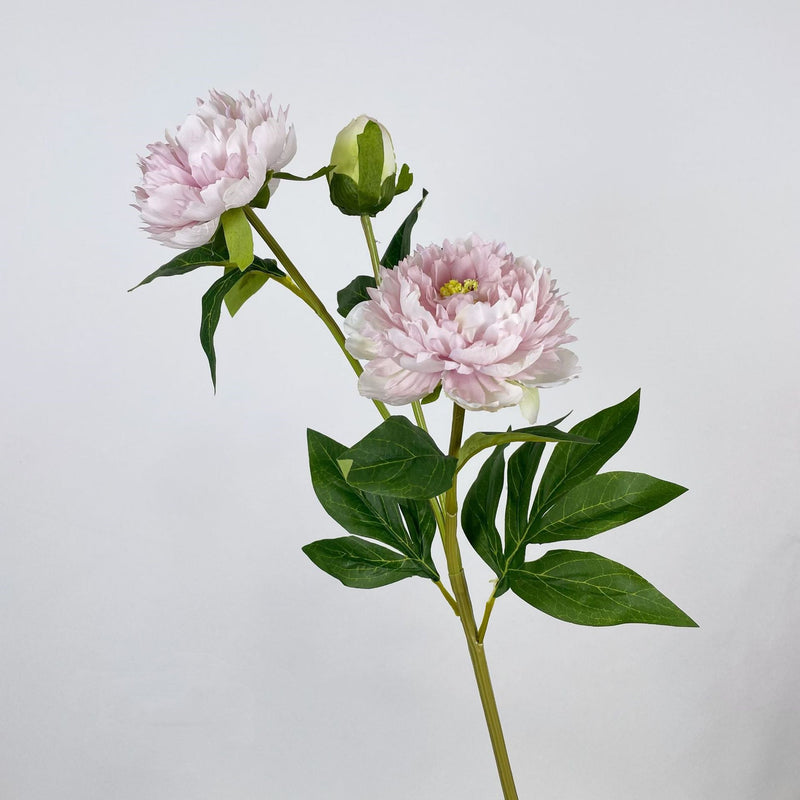 27.5 Inch Peony Silk Flower Stem 10 Pcs Artificial Faux Floral Arrangements Bulk