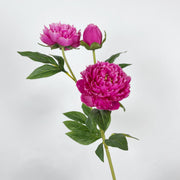 27.5 Inch Peony Silk Flower Stem 10 Pcs Artificial Faux Floral Arrangements Bulk