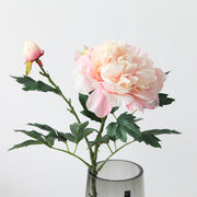 27 Inch Peony Stems Spray 2 Heads Bulk Artificial Flowers with Buds