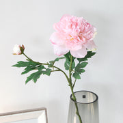 27 Inch Peony Stems Spray 2 Heads Bulk Artificial Flowers with Buds