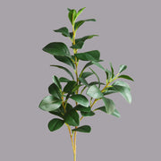 27 Inch Artificial Peperomia Leaf Ficus Stem Greenery Plant 10 Pcs Silk Leaves