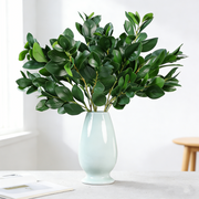 28 Inch Peperomia Artificial Greenery Branches 10 Pcs Realistic Green Leaves Stems