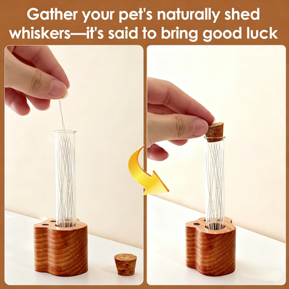 Pet Whisker Keepsake Box - Wooden & Glass Collection Jar for Dog/Cat Shed Whiskers (Good Luck Charm)