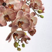 27 Inch Phalaenopsis Moth Orchid Stems, 10 Pcs, Real Touch Artificial Flowers, Retro Style
