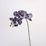 27 Inch Phalaenopsis Moth Orchid Stems, 10 Pcs, Real Touch Artificial Flowers, Retro Style