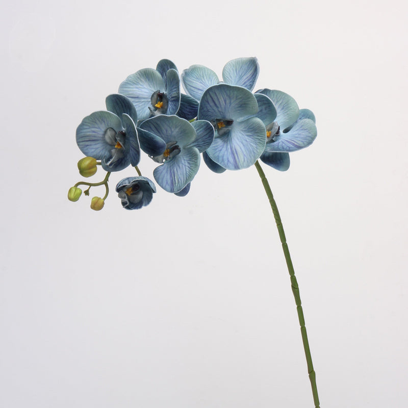27 Inch Phalaenopsis Moth Orchid Stems, 10 Pcs, Real Touch Artificial Flowers, Retro Style