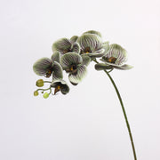 27 Inch Phalaenopsis Moth Orchid Stems, 10 Pcs, Real Touch Artificial Flowers, Retro Style