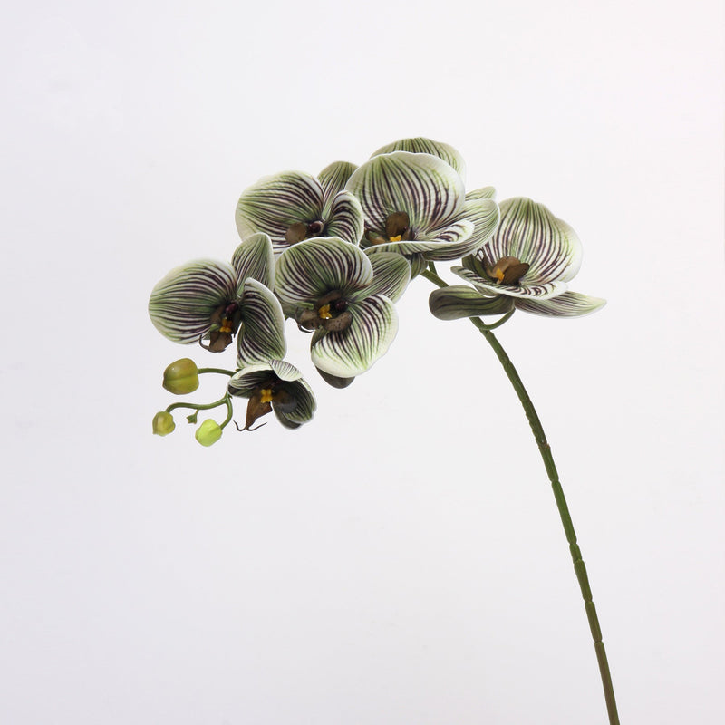27 Inch Phalaenopsis Moth Orchid Stems, 10 Pcs, Real Touch Artificial Flowers, Retro Style