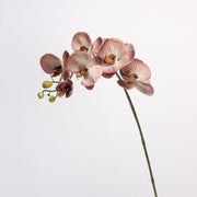 27 Inch Phalaenopsis Moth Orchid Stems, 10 Pcs, Real Touch Artificial Flowers, Retro Style