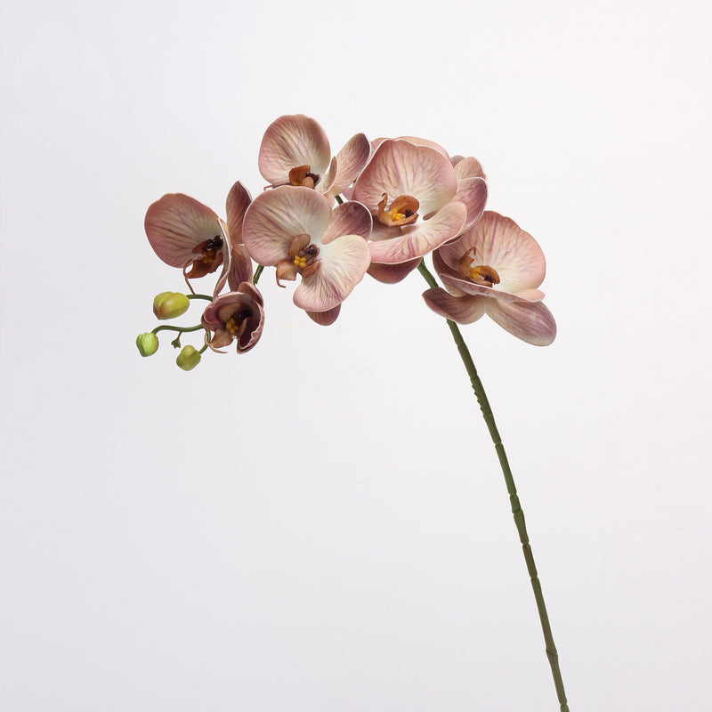 27 Inch Phalaenopsis Moth Orchid Stems, 10 Pcs, Real Touch Artificial Flowers, Retro Style