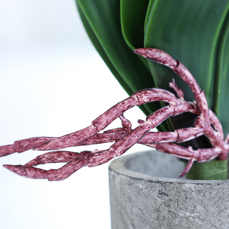 Artificial Phalaenopsis Orchid Leaves 10 Pcs Real Touch Latex Bulk Wholesale