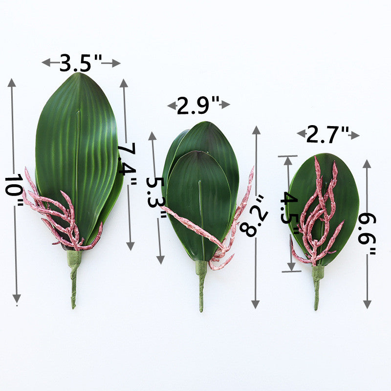 Artificial Phalaenopsis Orchid Leaves 10 Pcs Real Touch Latex Bulk Wholesale