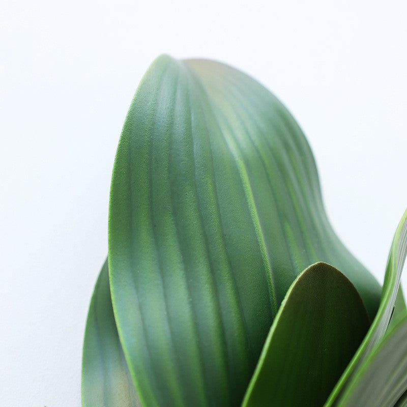 Artificial Phalaenopsis Orchid Leaves 10 Pcs Real Touch Latex Bulk Wholesale