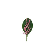 Artificial Phalaenopsis Orchid Leaves 10 Pcs Real Touch Latex Bulk Wholesale