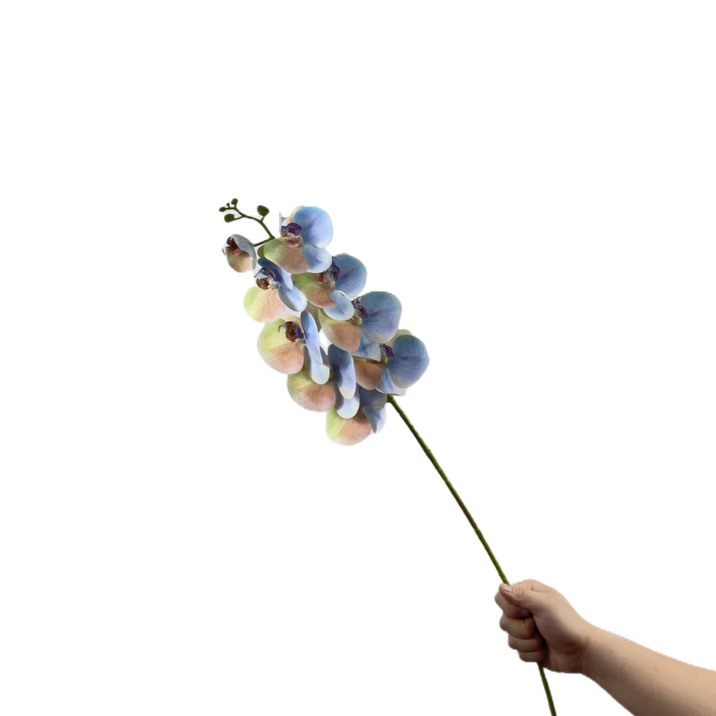 Gradient Plastic Phalaenopsis Orchid Stems, 10 Pcs Artificial Flowers, Bulk Wholesale