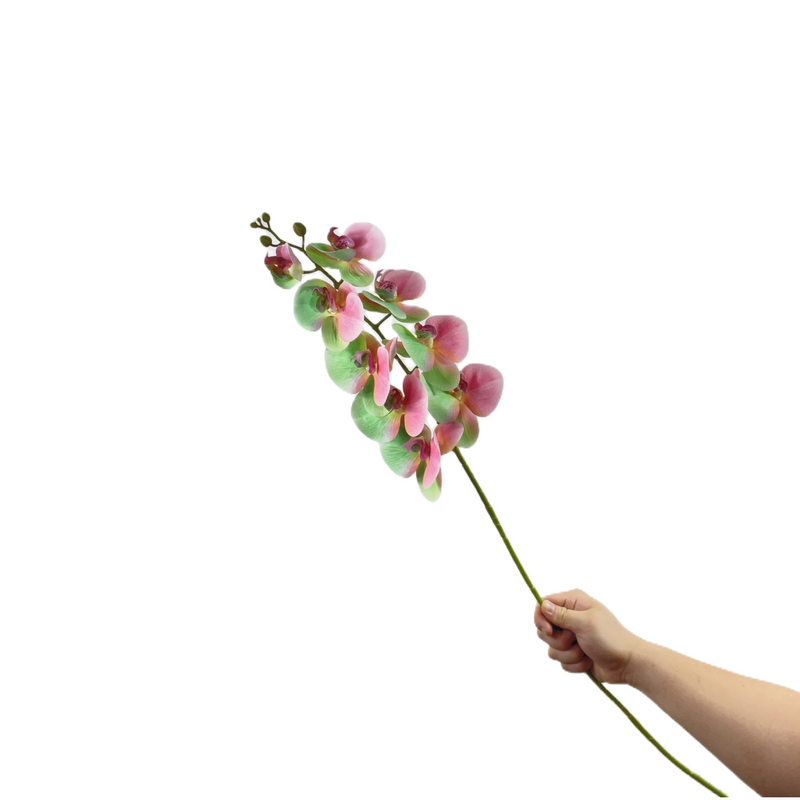Gradient Plastic Phalaenopsis Orchid Stems, 10 Pcs Artificial Flowers, Bulk Wholesale