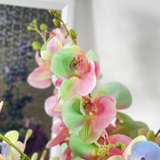 Gradient Plastic Phalaenopsis Orchid Stems, 10 Pcs Artificial Flowers, Bulk Wholesale