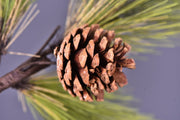3 Pcs 22 Inch Artificial Pinus Massoniana Lamb Pine Stems Real Touch Winter Christmas Plants