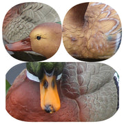 Artificial Floating Lovebird and Duck Pool Decorations, Bulk Set of 10, Durable Waterproof Material