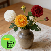 21 Inch Real Touch Ranunculus Artificial Flower Stem – Lifelike Silk Floral for Wedding and Home Decor