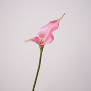 Real Touch Double Calla Lily Stem, 12 Inch Artificial Silk Flower, 1 Pc