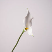Real Touch Double Calla Lily Stem, 12 Inch Artificial Silk Flower, 1 Pc
