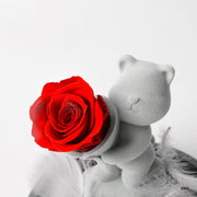 Preserved Rose Bear in Glass Dome for Valentine's Birthday Anniversary Gifts - Wholesale Bulk