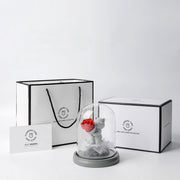 Preserved Rose Bear in Glass Dome for Valentine's Birthday Anniversary Gifts - Wholesale Bulk
