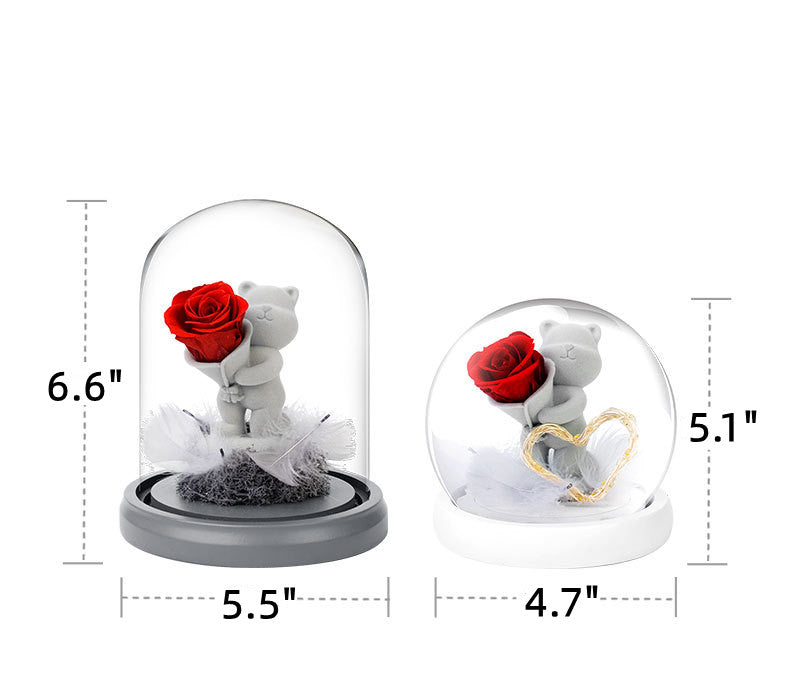 Preserved Rose Bear in Glass Dome for Valentine's Birthday Anniversary Gifts - Wholesale Bulk