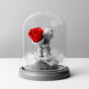 Preserved Rose Bear in Glass Dome for Valentine's Birthday Anniversary Gifts - Wholesale Bulk