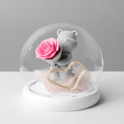Preserved Rose Bear in Glass Dome for Valentine's Birthday Anniversary Gifts - Wholesale Bulk