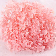 Preserved Large Hydrangea Flowers for Crafts and Arrangements – Bulk Quantity