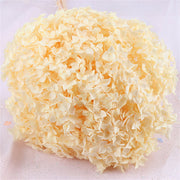 Preserved Large Hydrangea Flowers for Crafts and Arrangements – Bulk Quantity