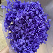 Preserved Large Hydrangea Flowers for Crafts and Arrangements – Bulk Quantity