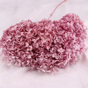 Preserved Large Hydrangea Flowers for Crafts and Arrangements – Bulk Quantity