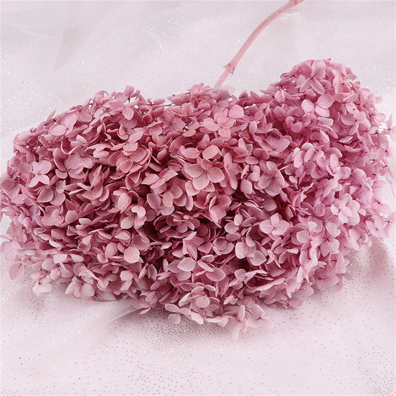 Preserved Large Hydrangea Flowers for Crafts and Arrangements – Bulk Quantity