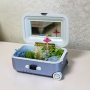 Preserved Flower Music Box Gift with Artificial Flowers, Decorative Keepsake, Romantic Present