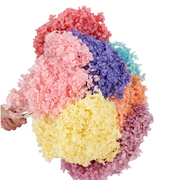 Preserved Large Hydrangea Flowers for Crafts and Arrangements – Bulk Quantity