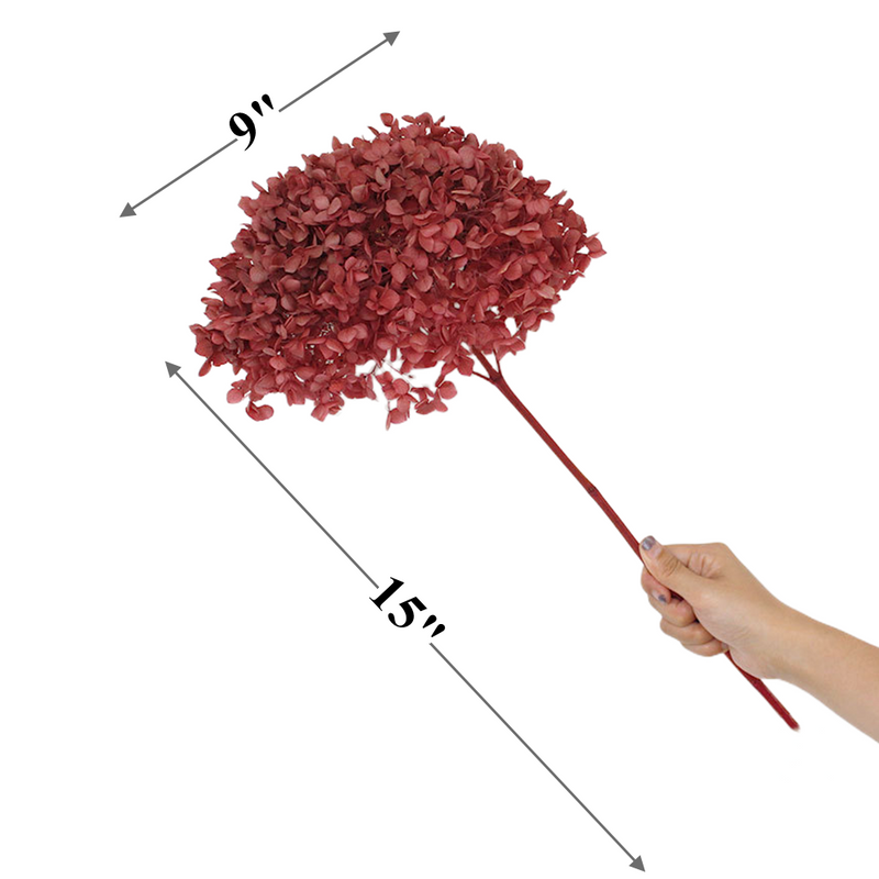 Preserved Large Hydrangea Flowers for Crafts and Arrangements – Bulk Quantity