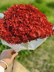50 Pcs Preserved Large Hydrangea Stems Artificial Flowers for Arrangements