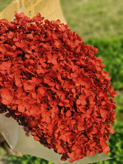 50 Pcs Preserved Large Hydrangea Stems Artificial Flowers for Arrangements