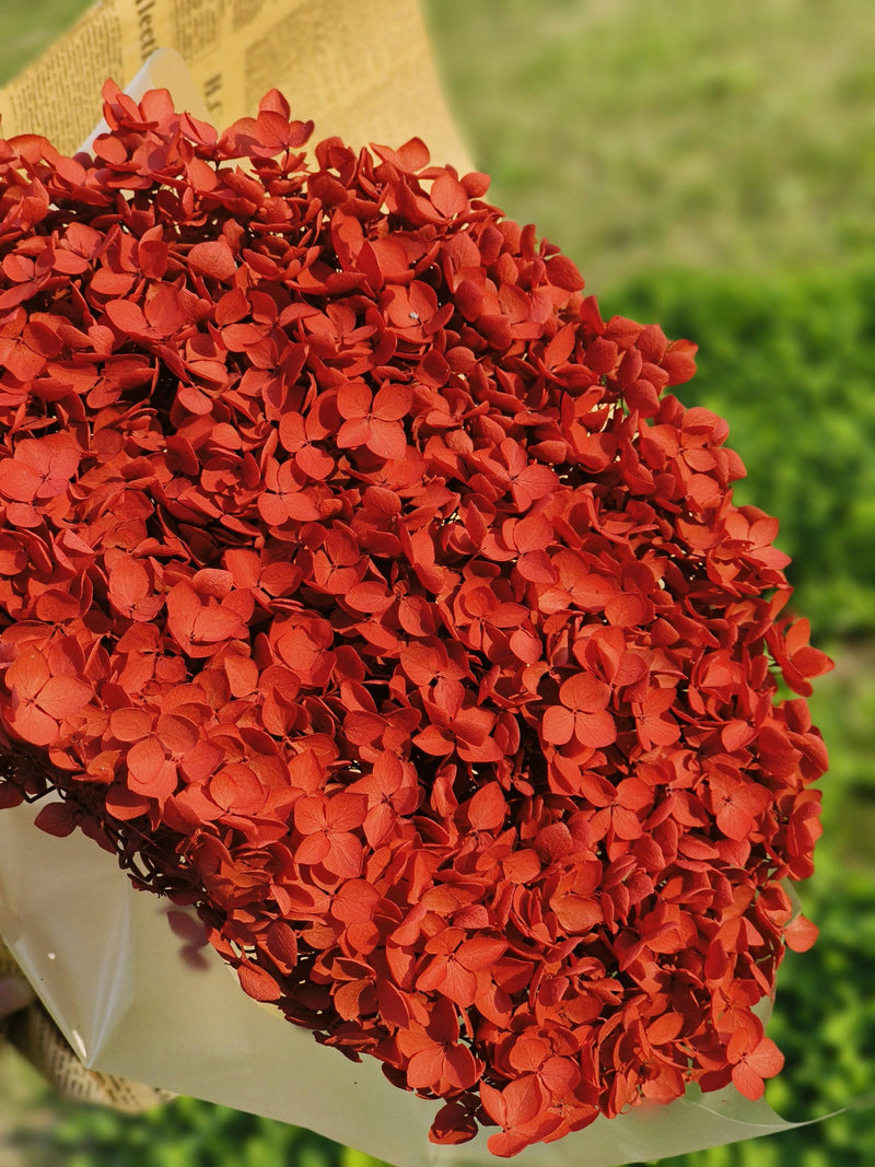 50 Pcs Preserved Large Hydrangea Stems Artificial Flowers for Arrangements