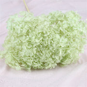 Preserved Large Hydrangea Flowers for Crafts and Arrangements – Bulk Quantity
