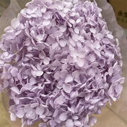 Preserved Large Hydrangea Flowers for Crafts and Arrangements – Bulk Quantity